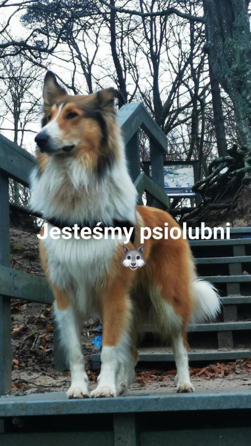 Villa Marcus Rowy  Esterno foto